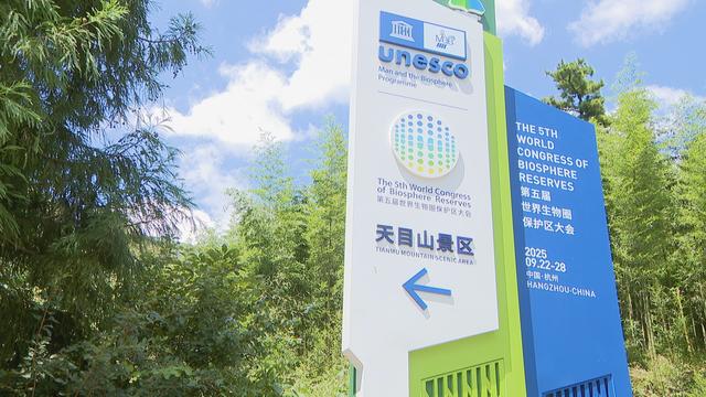 天目山又悄悄变美了！生态旅游综合改造提升工程完工 游客量暴涨40%