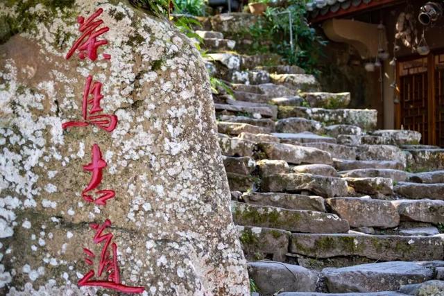 云南上榜全球最佳目的地！跟着《纽约时报》，重新走一遍茶马古道