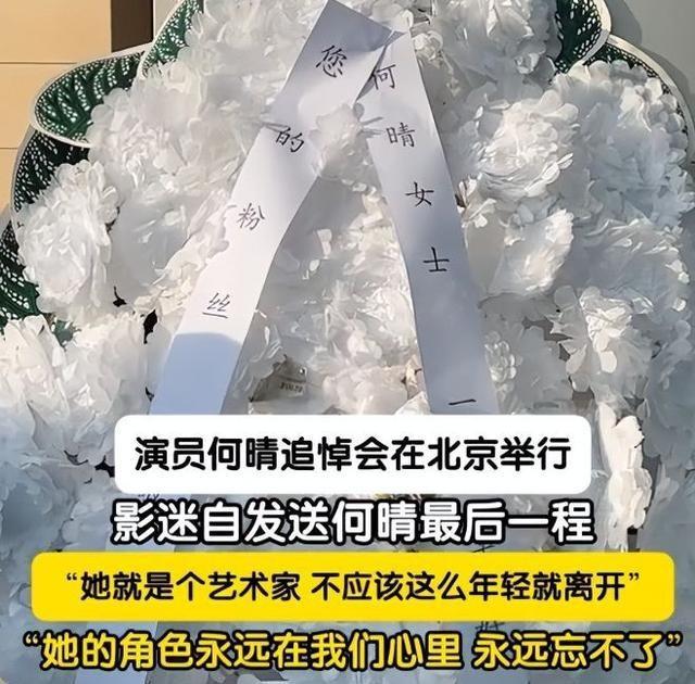 何晴葬礼举行！儿子手捧骨灰，遗像曝光惹泪目，廖京生现身送别