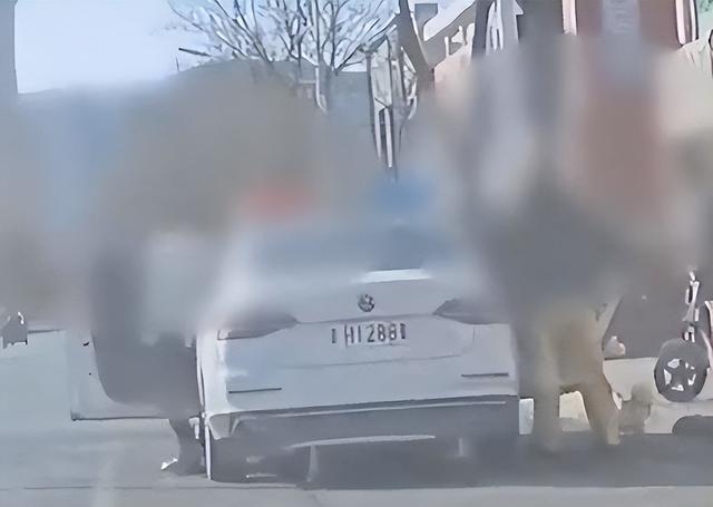 警车下来3人未穿警服，其中还牵宠物狗	，当地通报：解除劳动关系