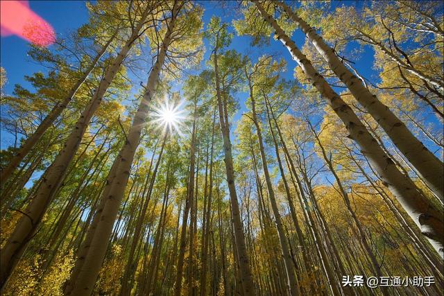 老蛙12mm F2.8 Zero-D 评测——一款存在明显妥协的超超广角定焦镜头