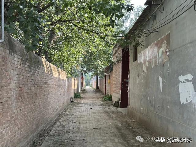 冠县乡韵·辛集镇丁刘八寨