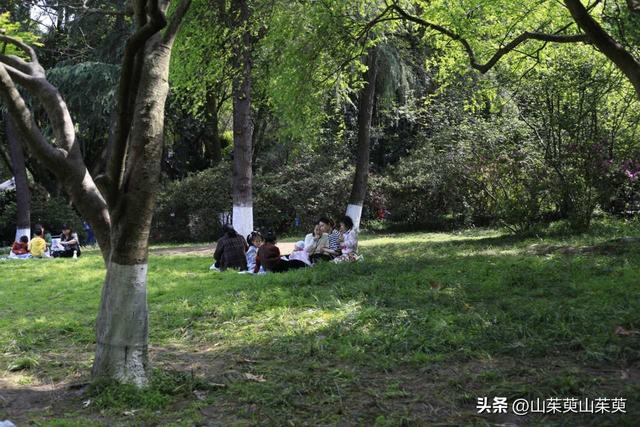 2023年春重庆探亲记（三）