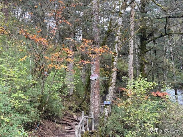 北京自驾长江三峡、神农架之旅（6）