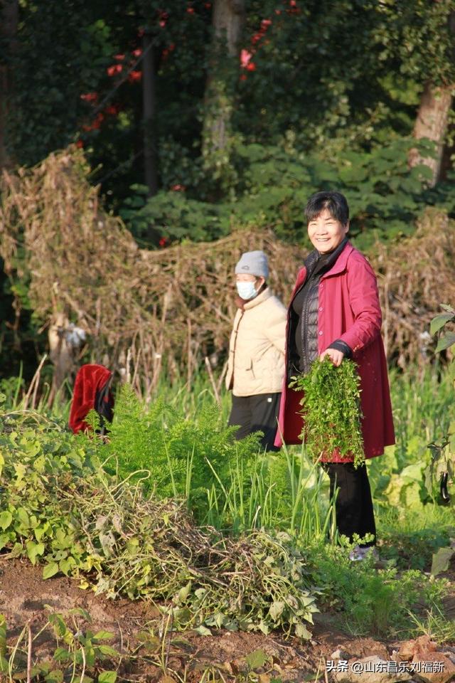 2025年10月22日图片日记(下)