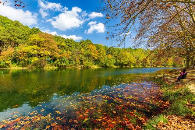 2025中国最美十大城市出炉，青岛第3，广州第6，大连垫底！