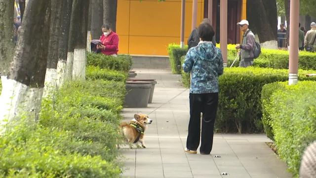 上半年，280万人次！昆明这两地入选
