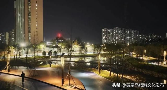 实拍！秦皇岛家门口的免费好去处，这个百亩湿地公园晚上也能逛~