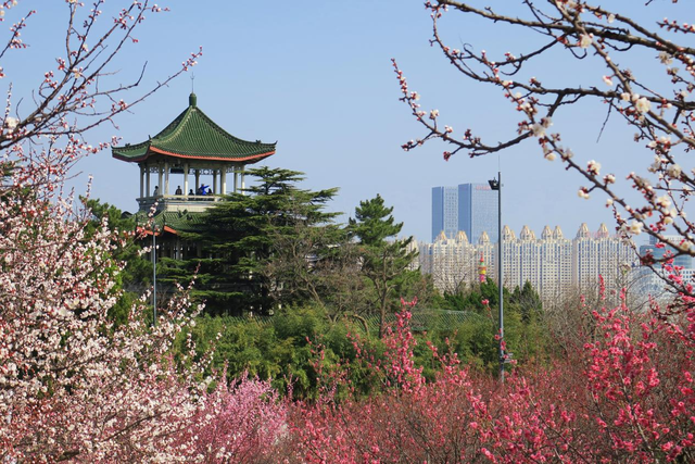 “烟台城市阳台”大变身 唤醒烟台人记忆深处的城市DNA