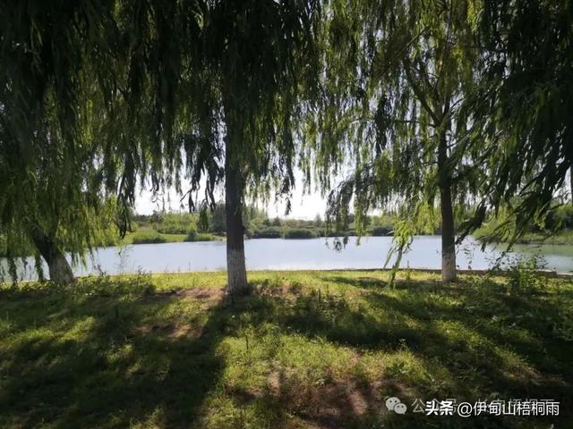 新疆之行（九）博乐，一座令人心动的宜居城市