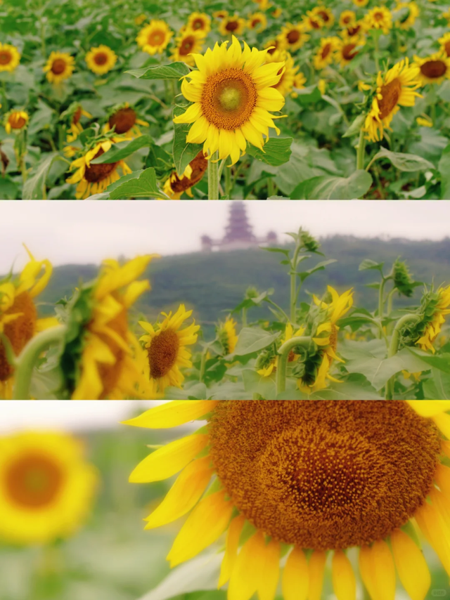 拿好这份初秋“寻色地图”，骑行解锁韶关的限定美景