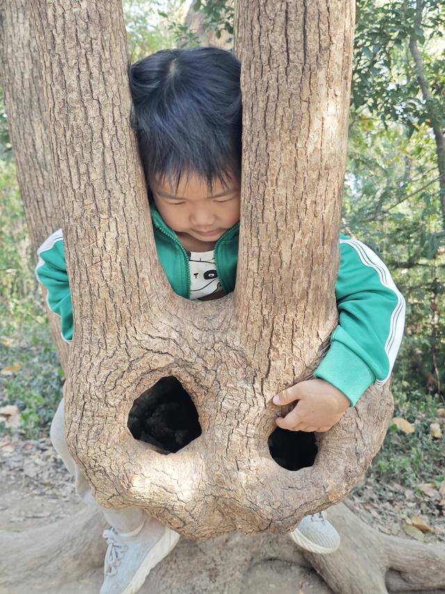 带4岁娃爬上海松江天马山，2小时轻松搞定，花费不到30元
