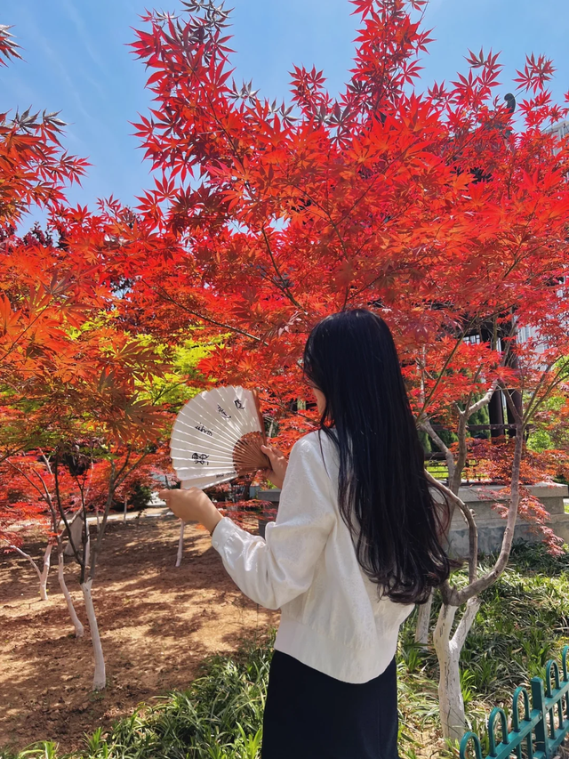 临沂「红杉」「红枫」浓度拉满，出片率100%