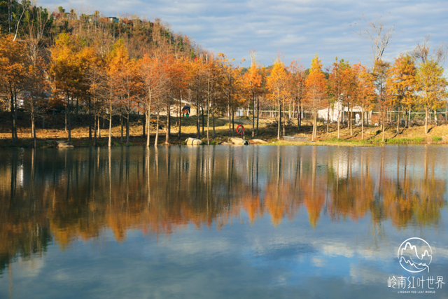 年假清零倒计时，该出发了！把最后几天留给韶关的彩林山水