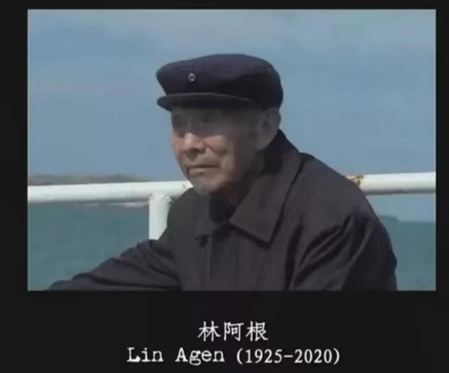 《东极岛》票房为何高开低走