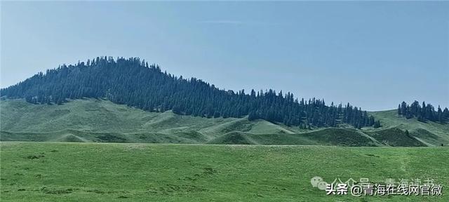 【青海在线网·散文】一个去了就不想回来的地方