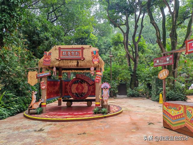 参观广州长隆野生动物园，全程感觉眼累手累腿不累