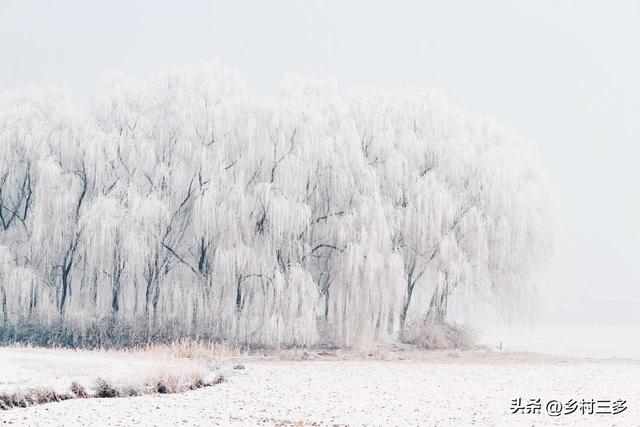 “春节冷不冷，就看冬月初一”，今日冬月初一，今年春节很冷吗？