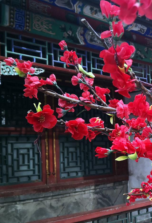 北京大观园“梅花”提早绽放 古风新春景致惊艳亮相