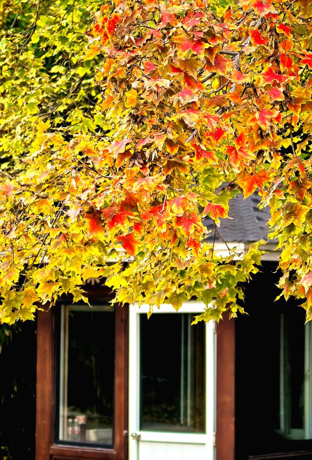 浞景无边，快乐亦无边~