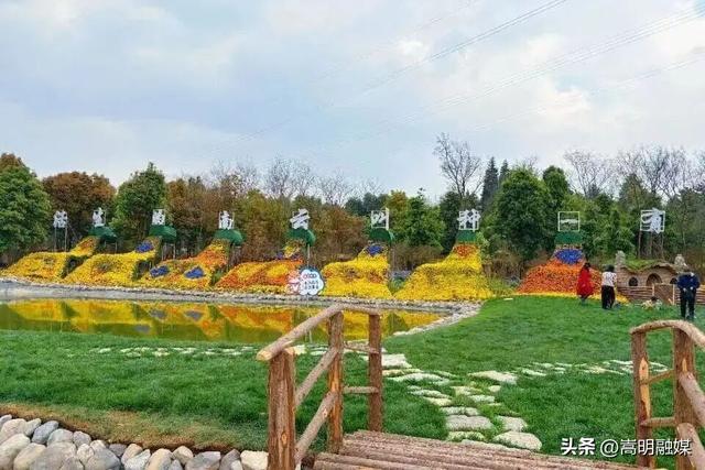 双节同庆 畅享嵩明丨精彩乐不停！10余项文旅活动攻略请收藏