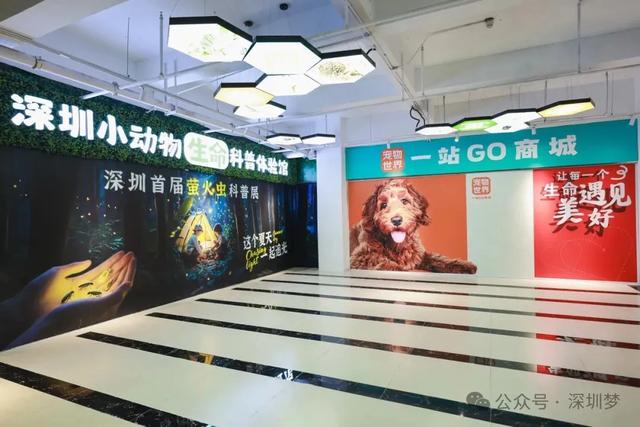 深圳中部宣布！一口气打造4座“城”，发布31个新地标