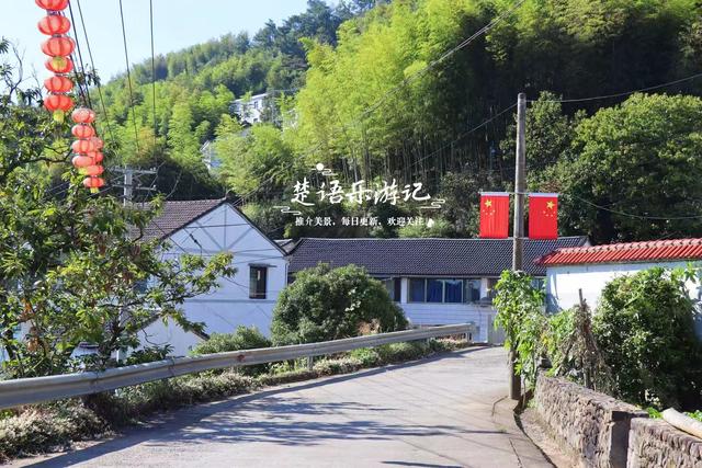 浙江宁波的桃源级森林公园，藏着一条黄金古道，景美但需做好攻略