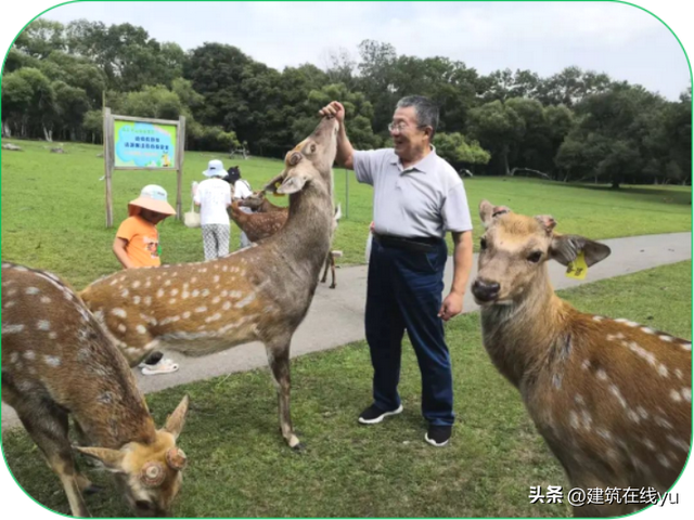 国务院原秘书俞梅荪 ‼ 寻鹿记
