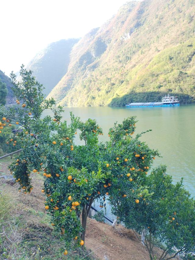 鄂渝行第四天（上）：小红船换小白船，从巫山到巴东