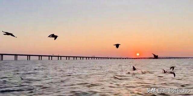 青岛城阳红岛东大洋“科普码头”，12周岁及以下儿童免费游！