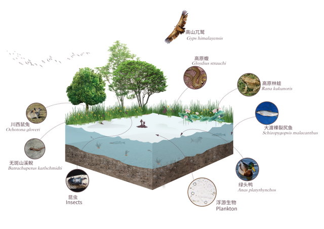 观山·阅史·体验·品文化 | 四座博物馆，四种维度，解锁一个立体的四姑娘山