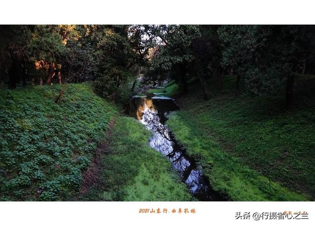 山东行游影记（228）—曲阜孔林（四）