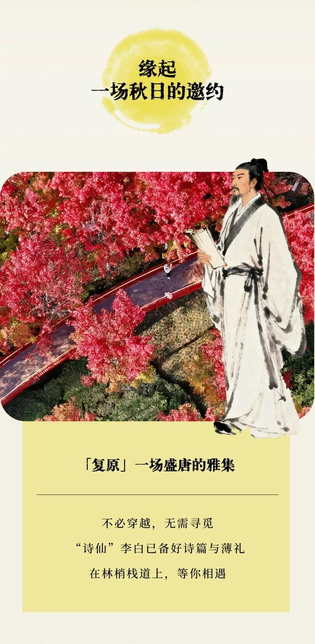 秋日枫林诗会，邂逅“诗仙”李白！这个周末幸福林带不见不散~