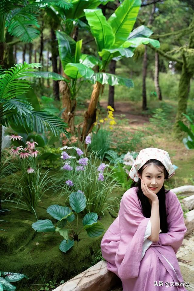 来赏银杏啦！还记得那年 “杏” 花微雨，你说要来新甫山~