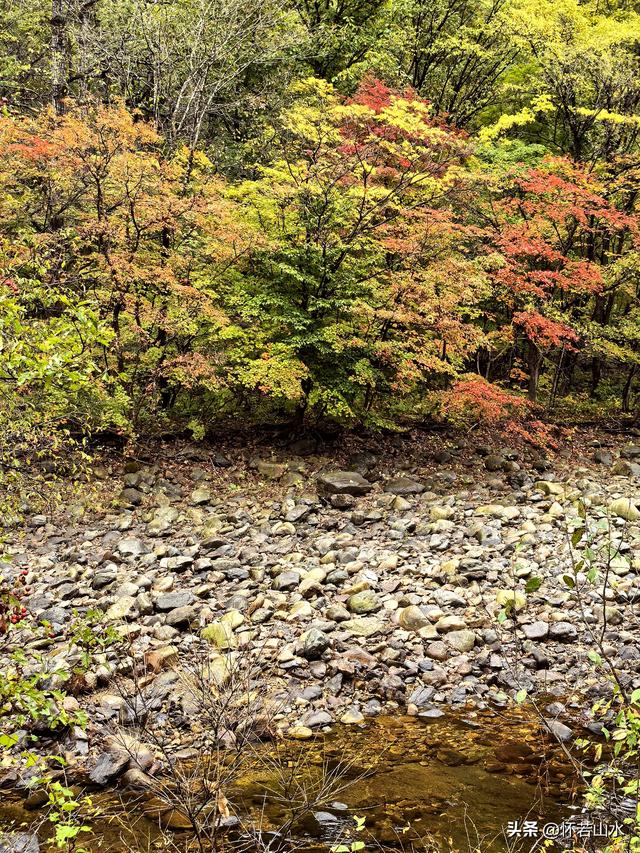 2025辽宁赏秋之旅日记(2)——游览丹东蒲石河森林公园