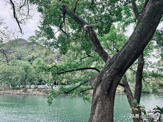 桂林：走进穿山公园，登穿山、塔山，看美丽的湖光山色