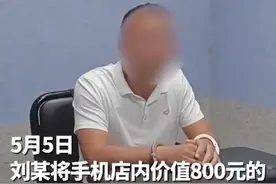 男子偷走800元手机模型被拘留图片