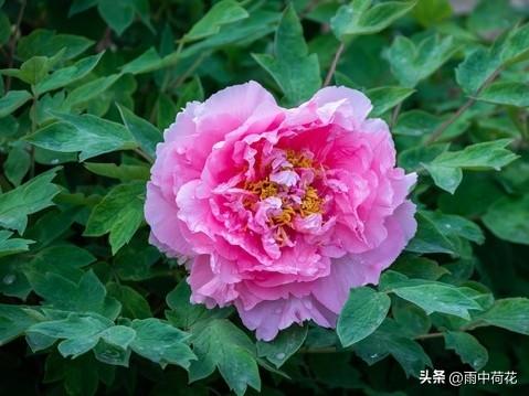 晚年苦不苦，全看七十五：这4手备好，余生安稳舒心