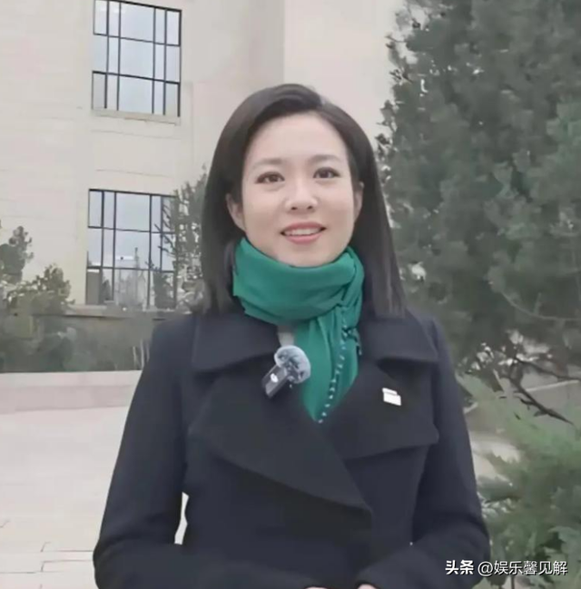 93阅兵解说员揭晓，原来是他们，个个不简单，都是央视著名主持人