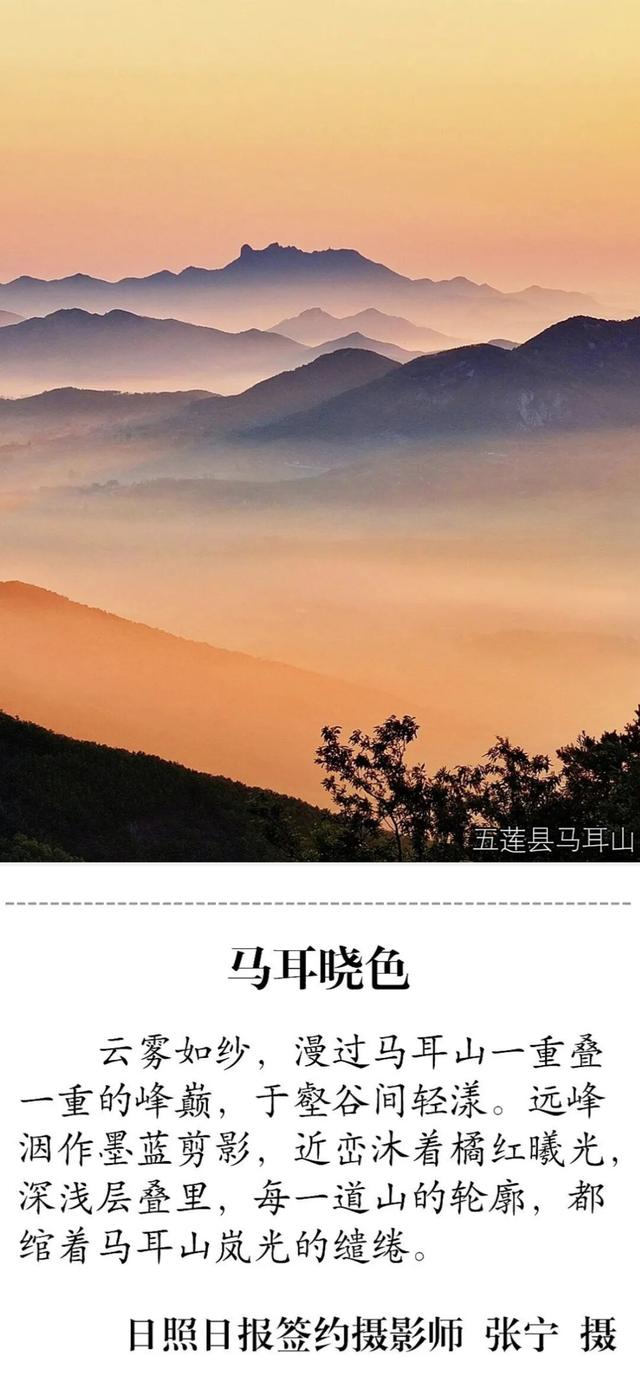 超美超治愈！日照这些大片你看过吗？