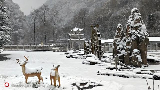 红河谷丨雪落林深处，山谷藏冬韵