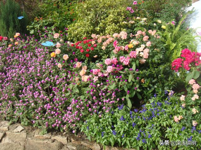 重阳时节，游苏州上方山（上）