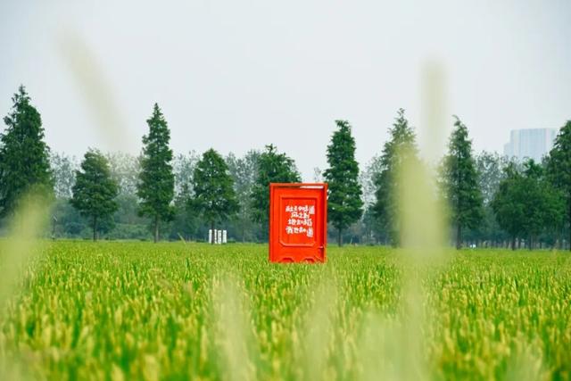 马上降温！吴中的颜色要变了！