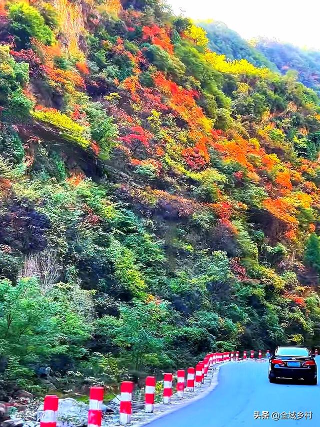 自驾线美到封神！90%河南人不知道的豫西秋色，现在去刚刚好