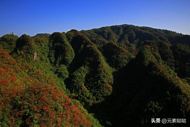 赏秋徒步险酿大祸！门头沟消防提醒：山林行进切勿分开行动