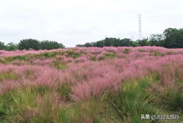 成都5个小众景点，每一处都让人惊讶，不要门票，地铁公交直达！