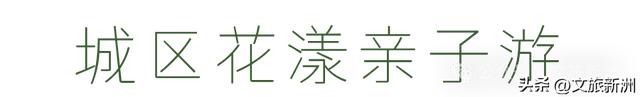 双节畅游新洲 | 不扎堆！快来领取新洲小众玩法，人少景美还出片！