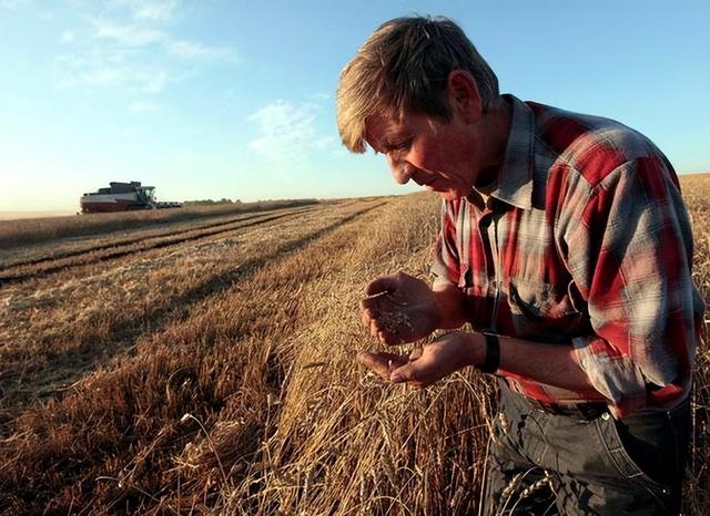 中美俄耕地面积差距太大：美23.7亿亩，俄18.3亿亩，中国令人意外