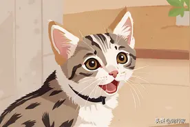 养猫久了才懂，猫突然咬你一下，并不是讨厌你，而是这些意思图片