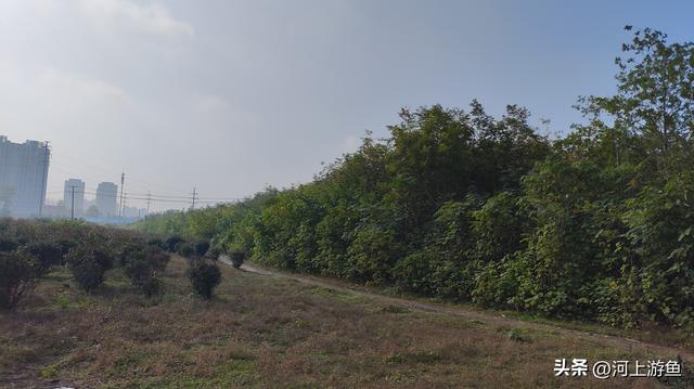 漯河历史文化遗迹之郝家台遗址